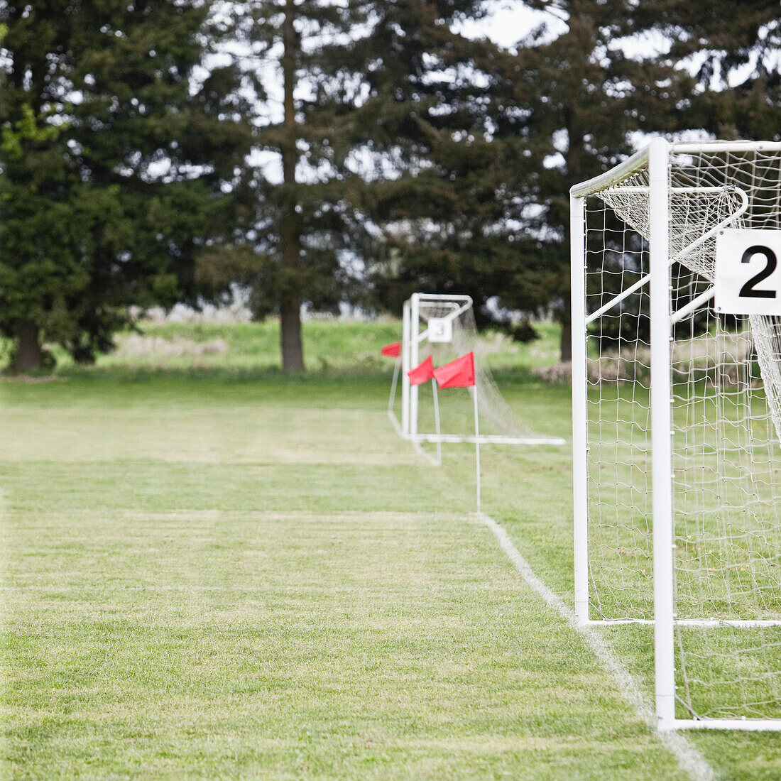 Side by Side Soccer Goal Nets, Tukwila, Washington, USA