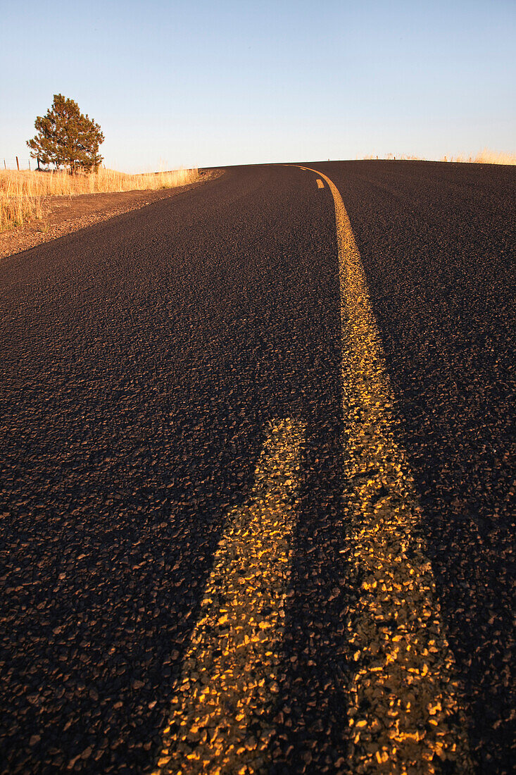 Two Lane Road Between Fields, Rural Eastern Washington, USA