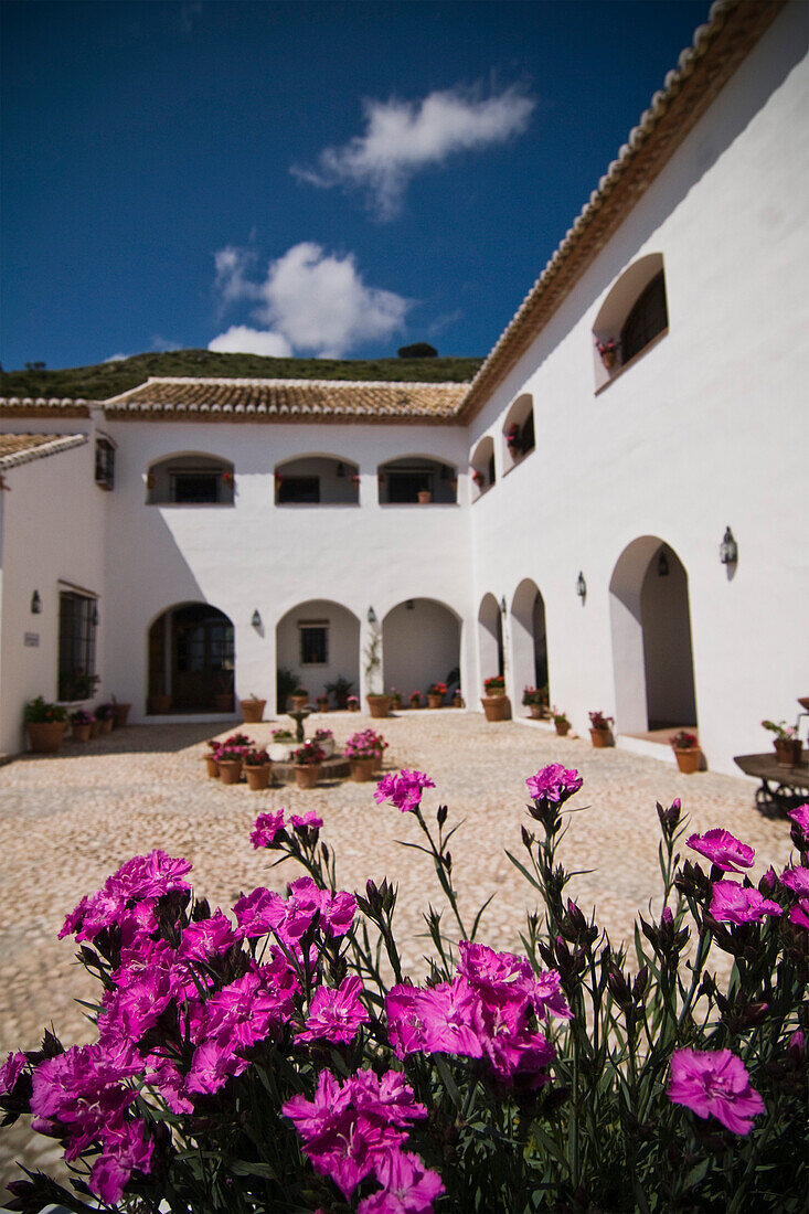 Courtyard of Hotel, Antequera, Andalucia, Spain