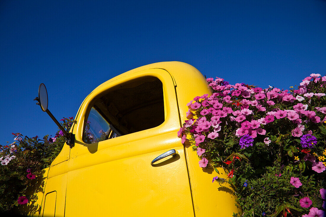 Old Truck Converted to Flower Planter, Portland, Oregon, USA