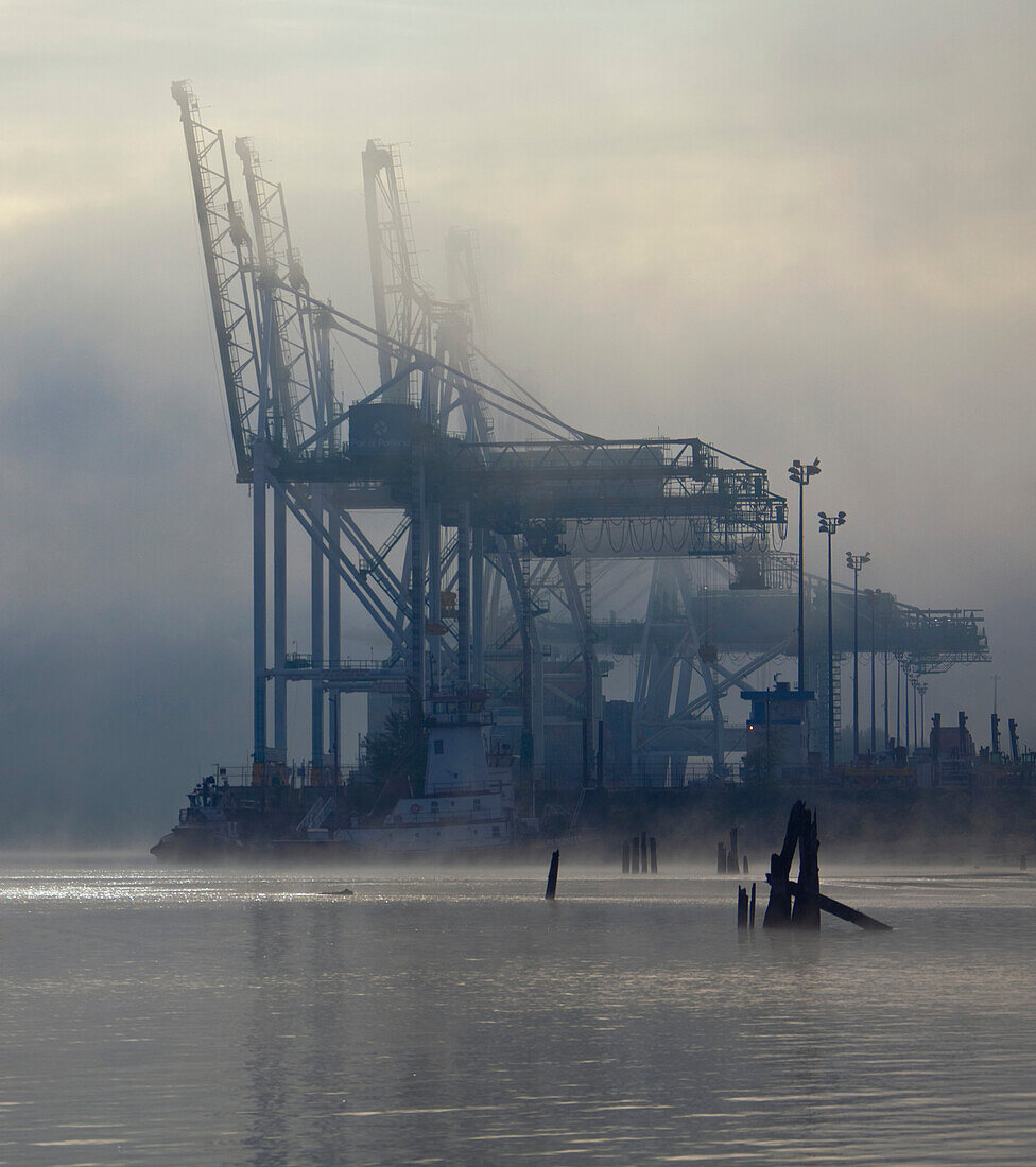 Seaport Cranes in Fog, Portland, Oregon, USA
