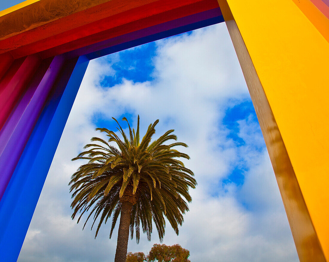 Framed Palm Tree, Santa Barbara, CA, USA