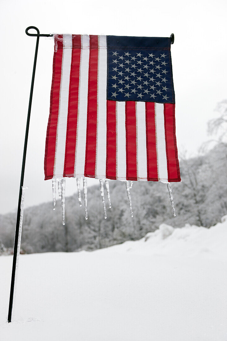 Icicles on an American Flag, Hendersonville, North Carolina, USA