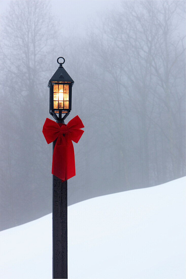 Lamppost in Snow, Hendersonville, North Carolina, USA