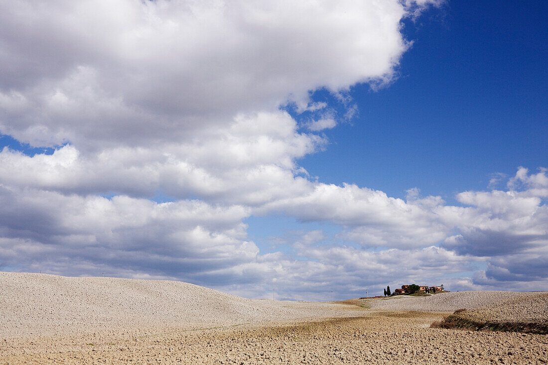 Desert Landscape in La Crete Sinesi, Siena, Tuscany, Italy