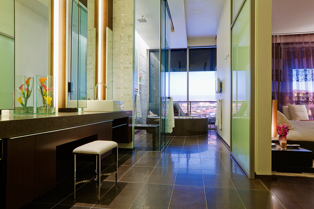 Bathroom Space, Dallas, Texas, USA