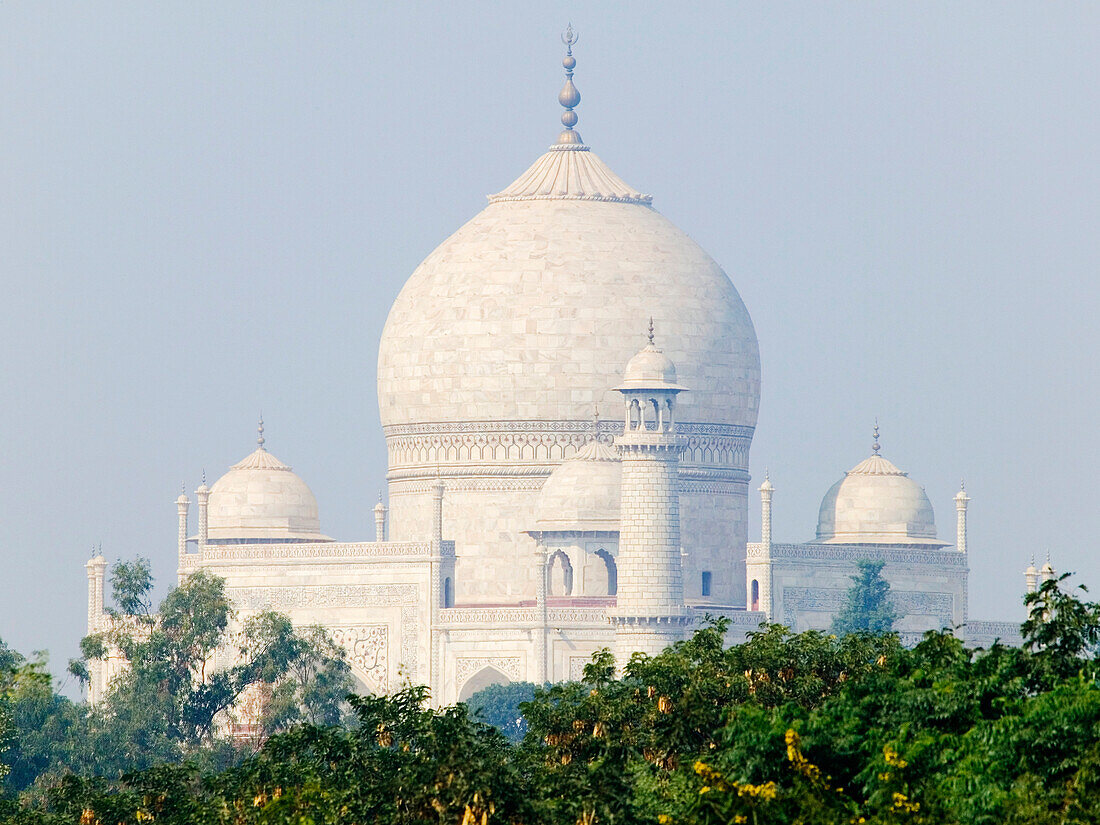 Domed Roofs of the Taj Mahal, Agra, Uttar Pradesh, India