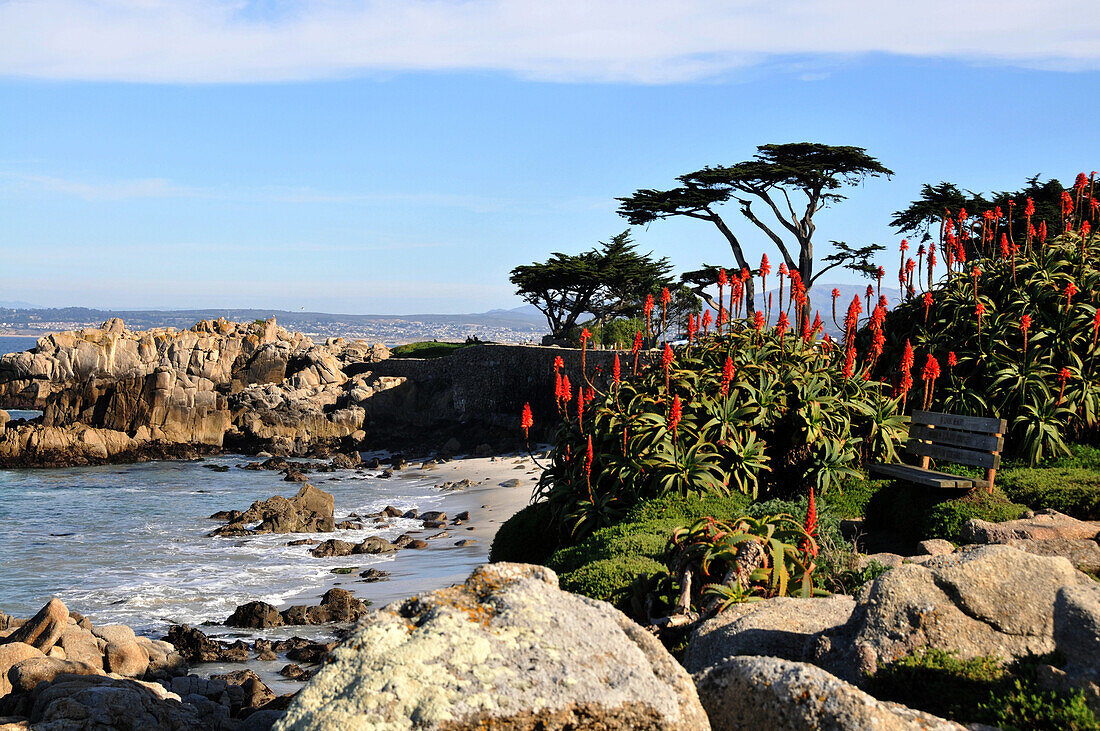 Küstenlandschaft im Sonnenlicht bei Monterey, Highway 1, Kalifornien, USA, Amerika