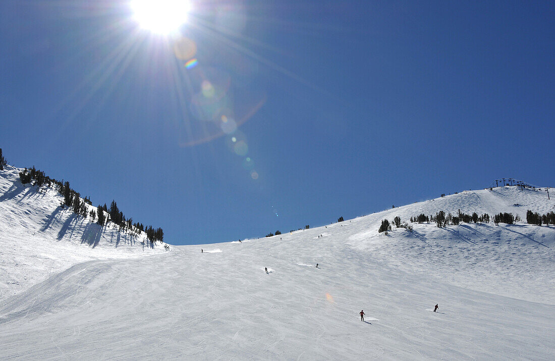 Ski slope in the sunlight, Mammoth Mountain ski area, California, USA, America