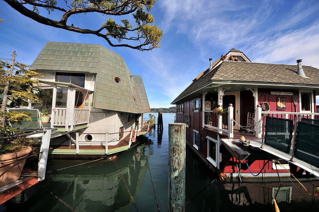 Houseboats in Sausalito near San Francisco, California, USA, America