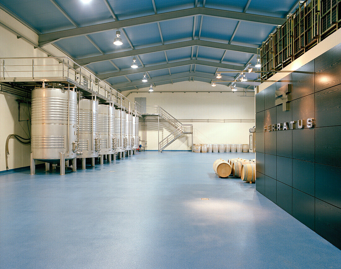 Wine barrels and production hall of Bodega Ferratus, Aranda de Duero, Castile and León, Spain