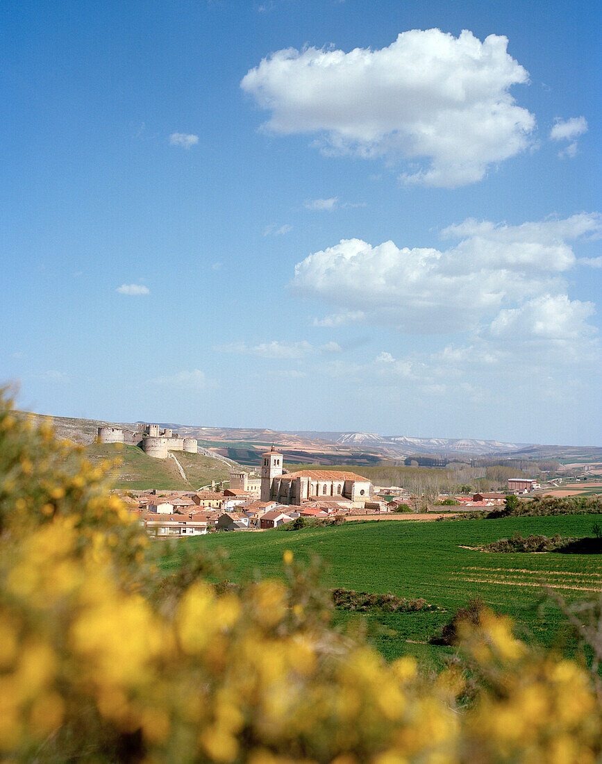 Castle, Castillo and church at Rio Torete, broom in the foreground, Castile and León, Spain