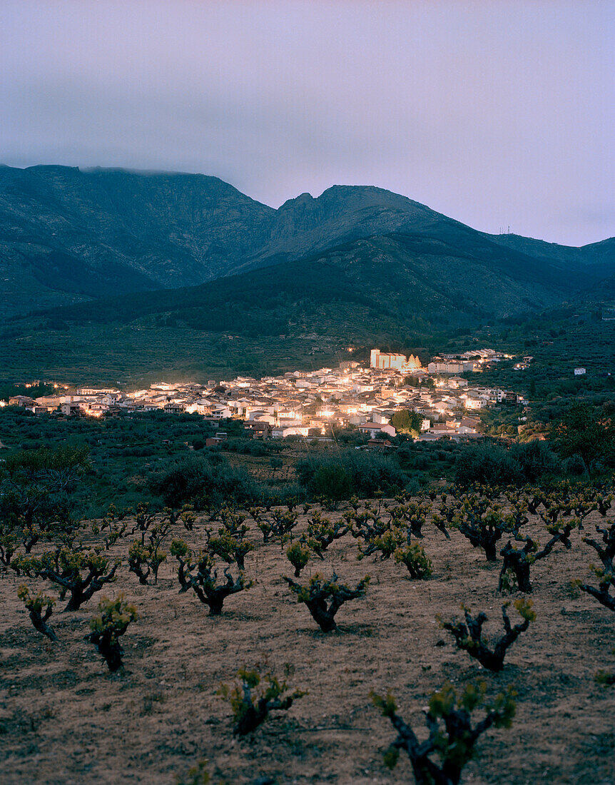 Weinfelder von San Esteban de Valle, unter Massiv Oriental, südliche Sierra de Gredos, Kastilien-León, Spanien