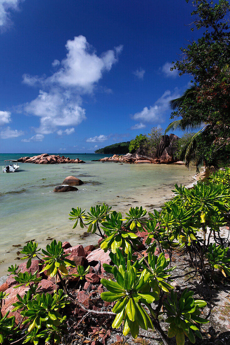 Sandstrand, Baie Ste Anne, Praslin, Seychellen, Indischer Ozean