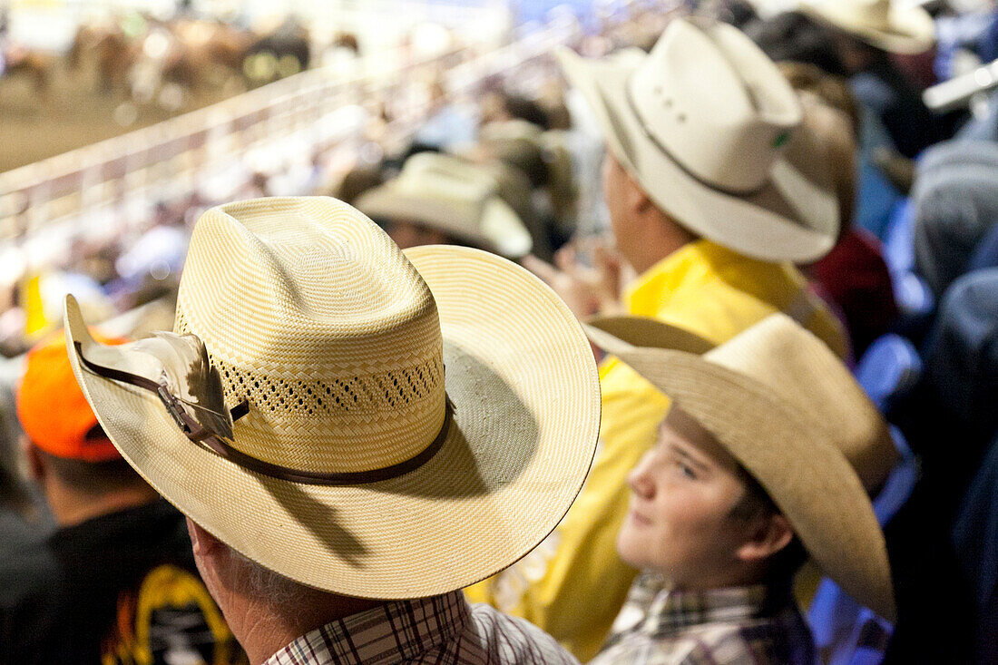 Young boy looking at man, Spectators at the rodeo, middle west, Rodeo, Minot, North Dakota, United States of America, USA
