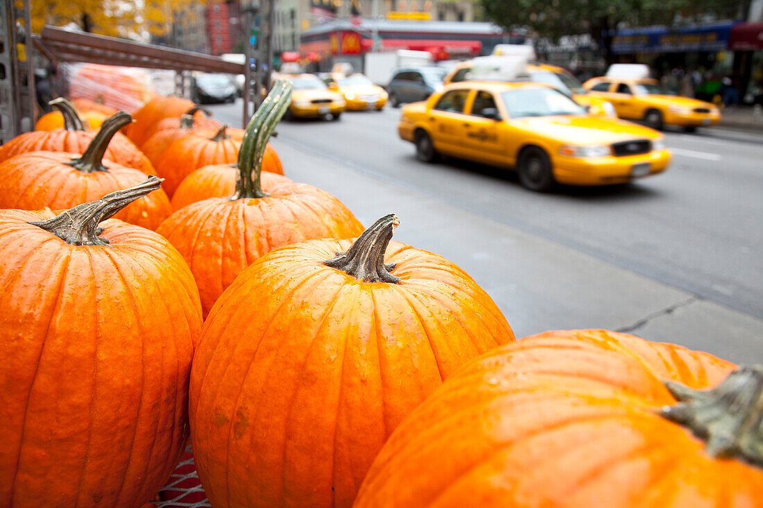 Halloween in New York, Kürbis, Taxi in der Szraße, Manhattan, New York City, Vereinigte Staaten von Amerika, USA