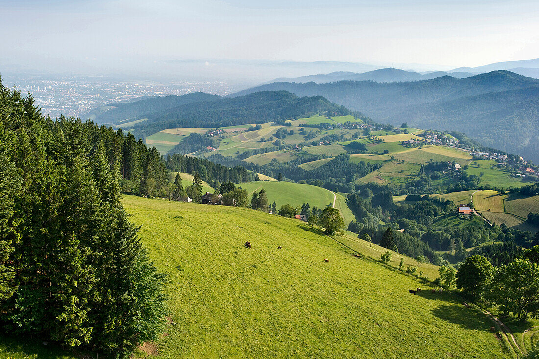 Mittelgebirgslandschaft bei Freiburg im Breisgau, Schwarzwald, Baden-Württemberg, Deutschland