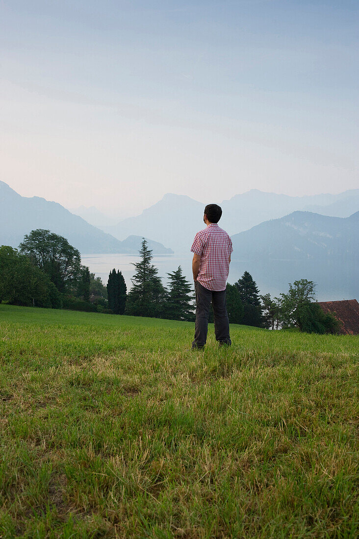 Mann blickt über Vierwaldstättersee am Morgen, Weggis, Kanton Luzern, Schweiz