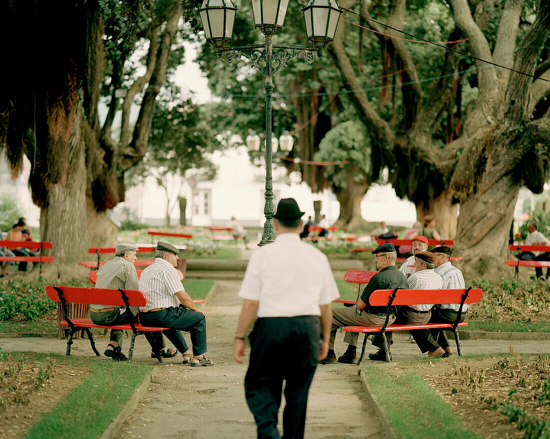 Public park, Jardim Publico, center of Ribeira Grande, northern shore of Sao Miguel island, Azores, Portugal