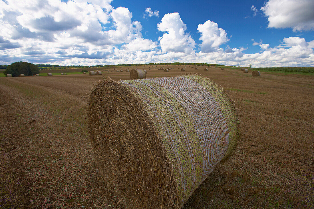 Stubble-field near Eckfeld, Eifel, Rhineland-Palatinate, Germany, Europe