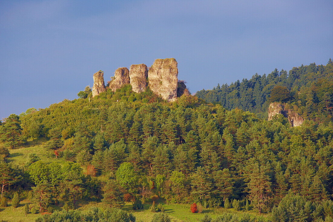 Gerolstein, Gerolsteiner Dolomitfelsen, Eifel, Rheinland-Pfalz, Deutschland, Europa
