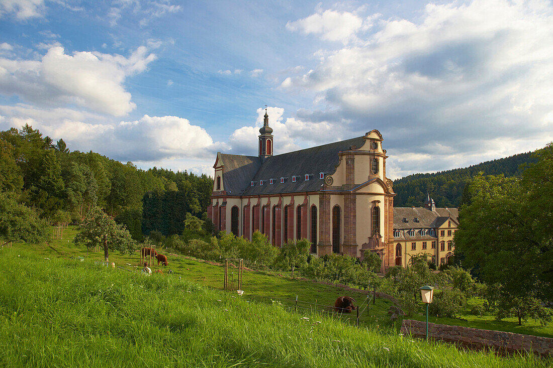 Cloister Himmerod, Baroque, Eifel, Rhineland-Palatinate, Germany, Europe