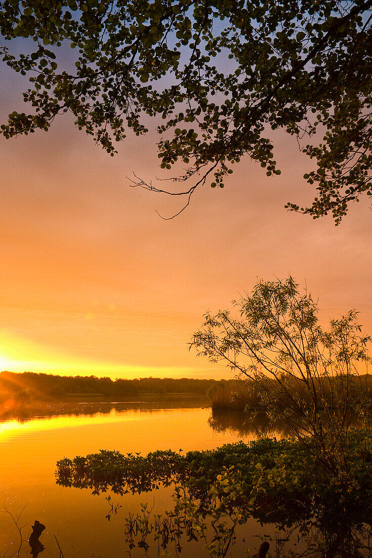 Sunrise at Fleet Pond, Fleet, Hampshire, UK - England