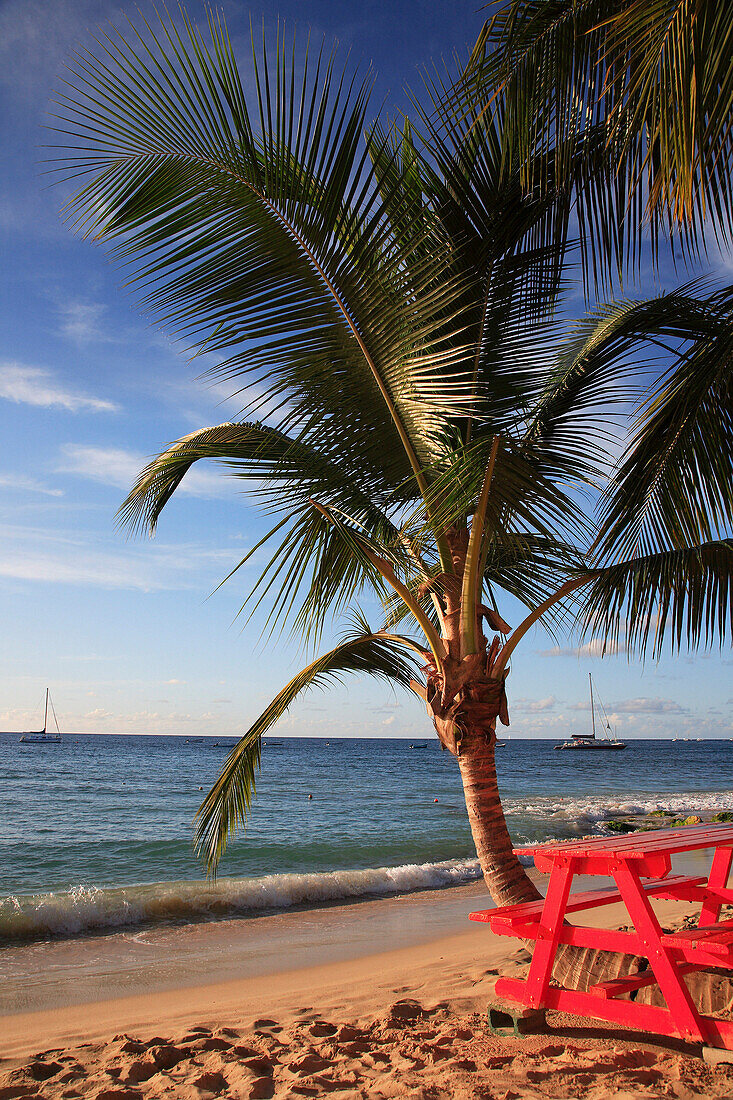 Beach scene, St Peter, Barbados, Caribbean