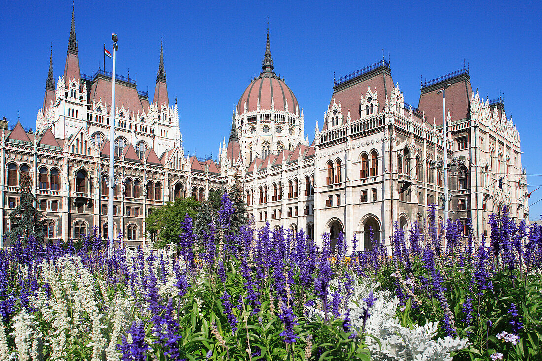 Parliament and flowers, Budapest, Hungary