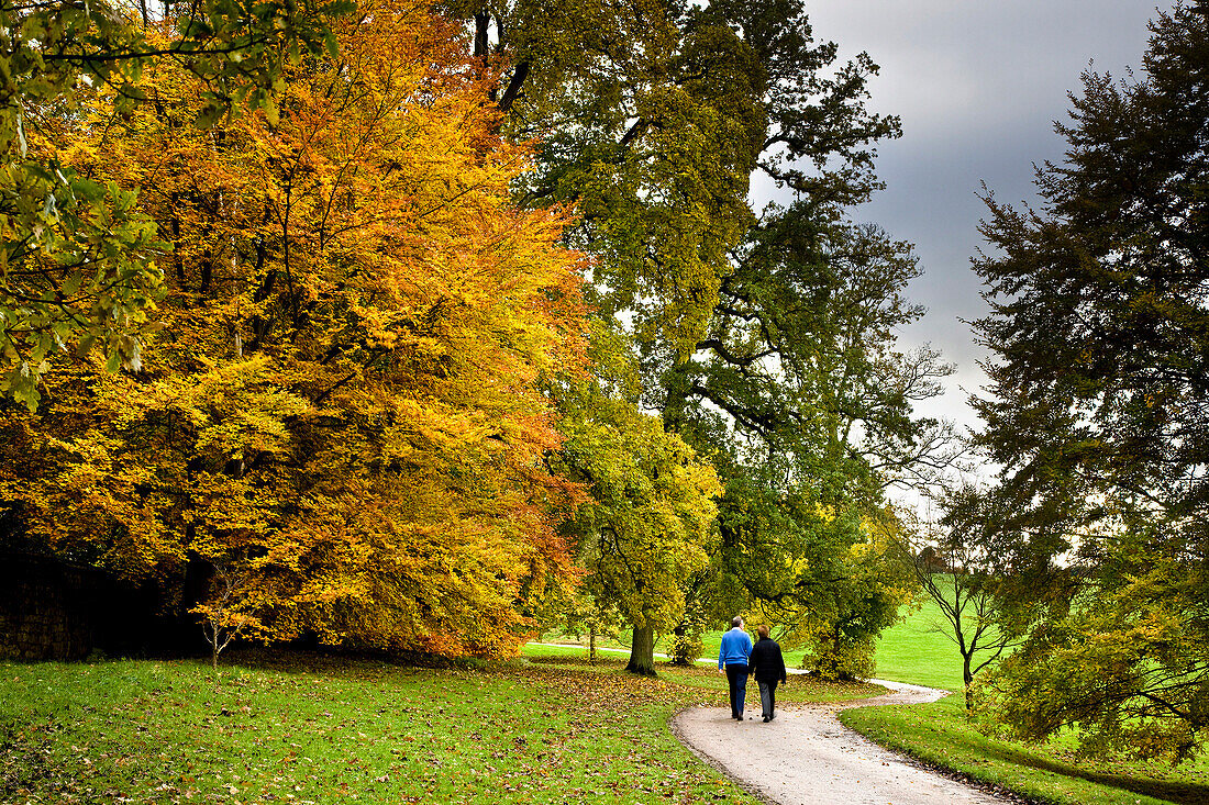 Couple walking in a park in autumn, General, Yorkshire, UK - England