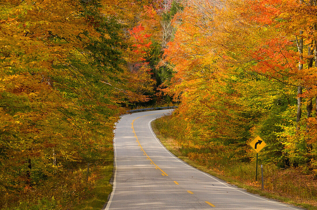 Road through park in autumn, White Mountains National Park, New Hampshire, USA