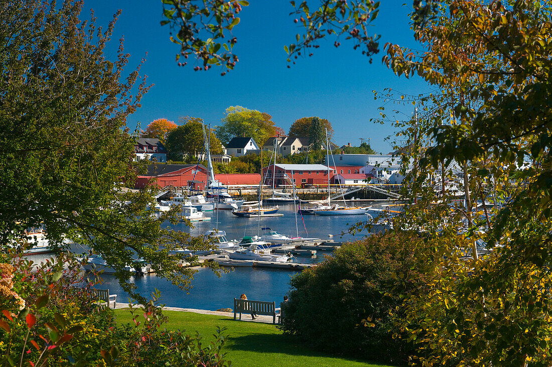Harbour and town in autumn, Camden, Maine, USA