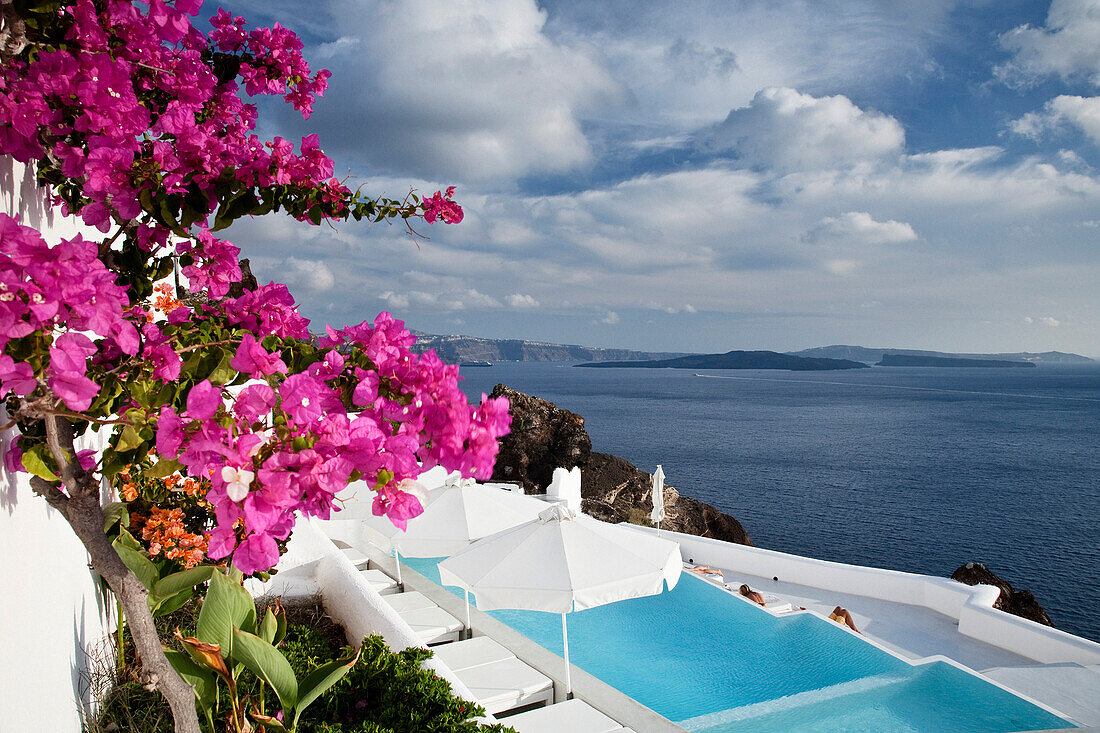 Clifftop swimming pool and pink flowers, Oia, Santorini Island, Greek Islands