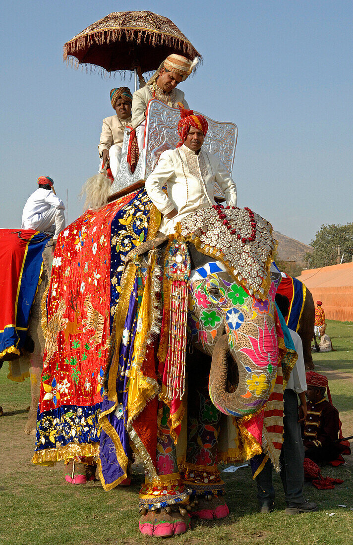 Colourful elephant with riders at the Jaipur Elephant Festival, Jaipur, Rajasthan, India