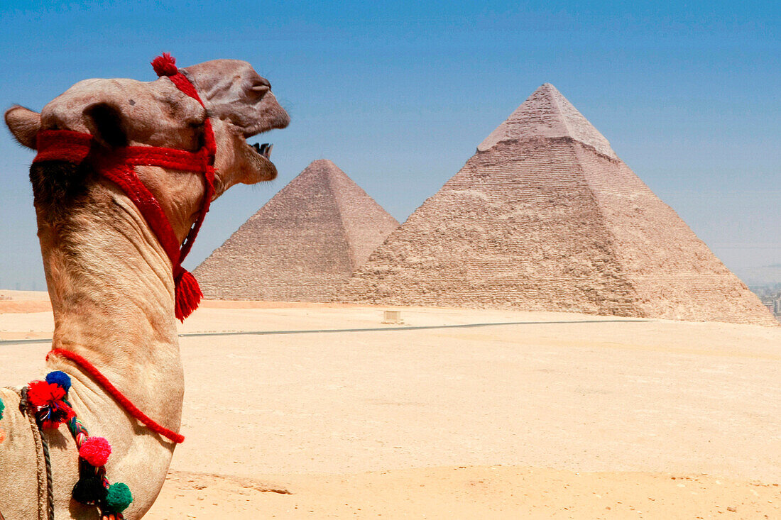 Pyramids of Giza, Giza, Egypt