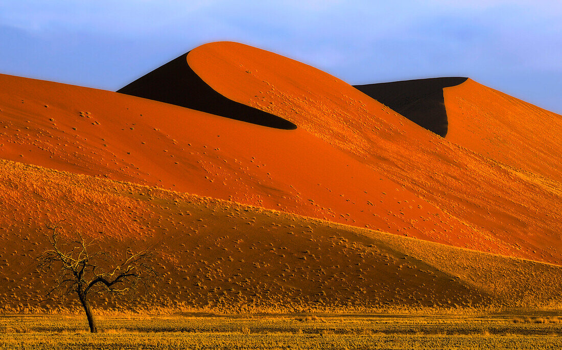 Dead Vlei, Sossusvlei, Namib Naukluft National Park, Namib desert, Namib, Namibia, Africa