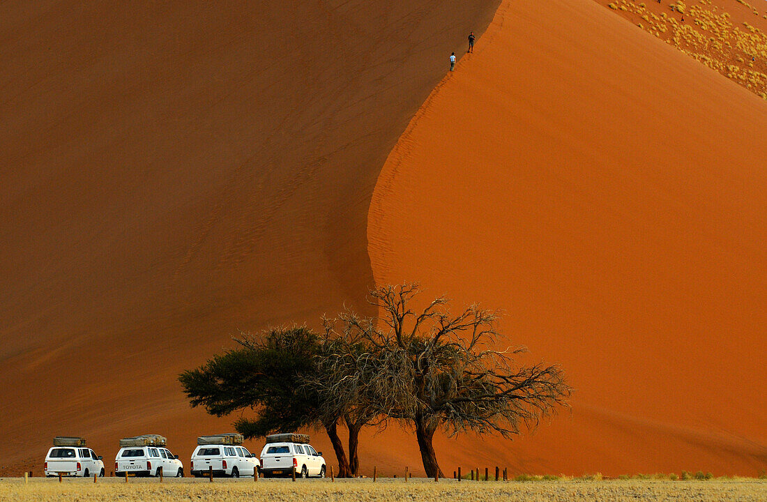 Dune 45, Sossusvlei, Namib Naukluft National Park, Namib desert, Namib, Namibia, Africa