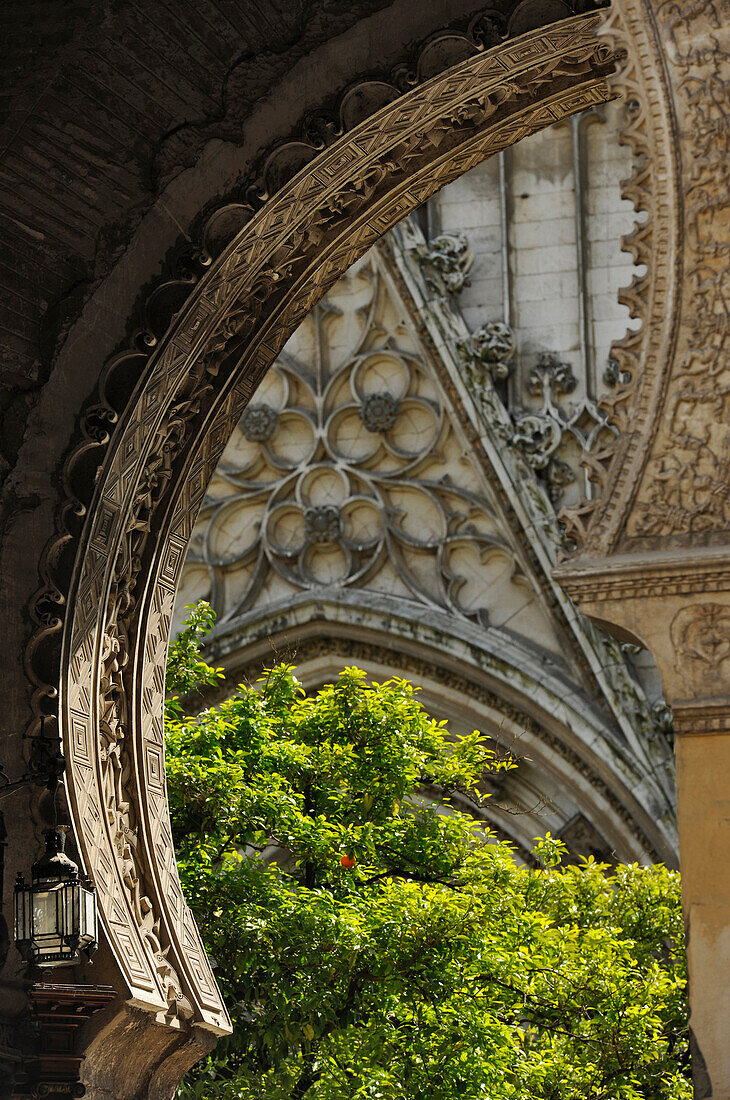Archway, Cathedral of Saint Mary of the See, Seville, Andalusia, Spain