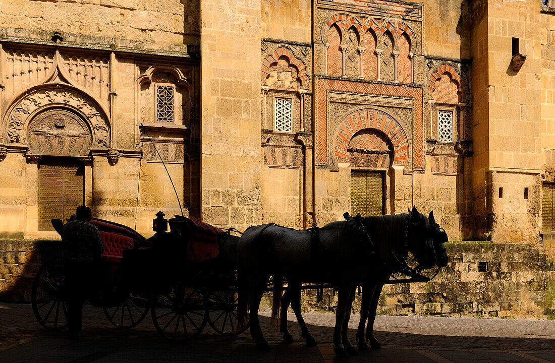 Kutsche vor der Kathedrale, Mezquita-Catedral, Cordoba, Provinz Cordoba, Andalusien, Spanien, Mediterrane Länder