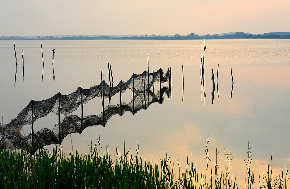 Fischernetze in der Abenddämmerung Achterwasser, Krummin, Usedom, Mecklenburg-Vorpommern, Deutschland