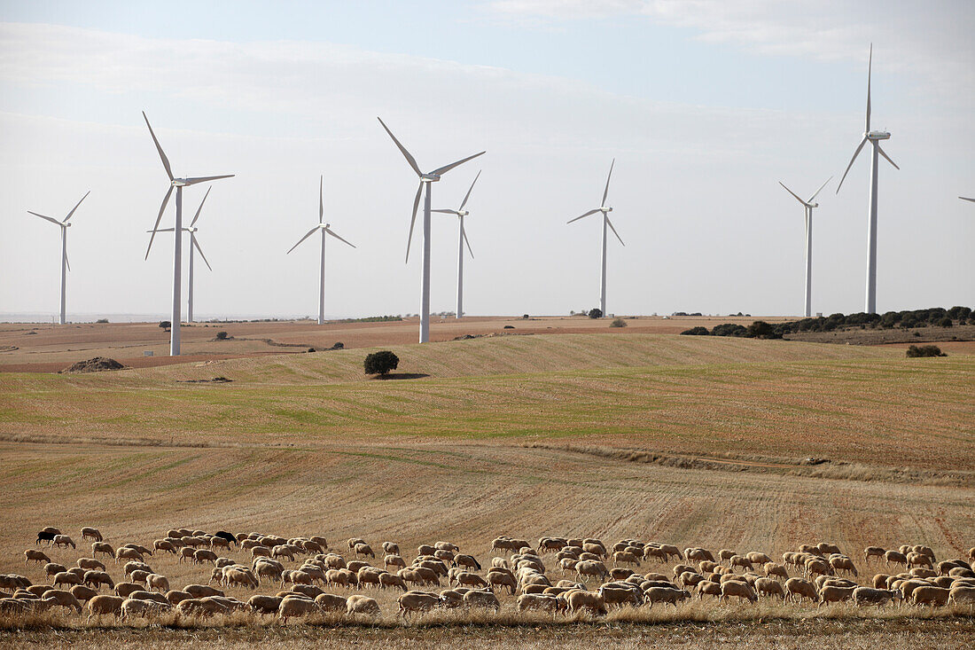 Windpark Atalaya de Canavate, Honrubia, La Mancha, Castilla, Spain