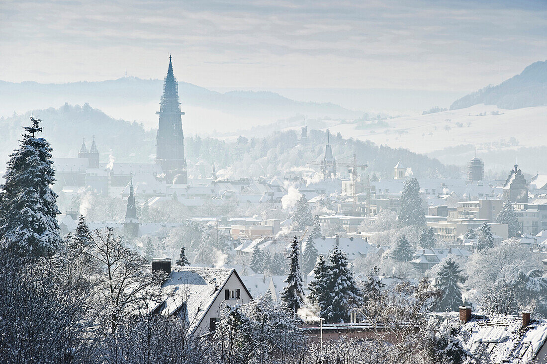 Cityscape in winter, Freiburg im Breisgau, Black Forest, Baden-Wurttemberg, Germany