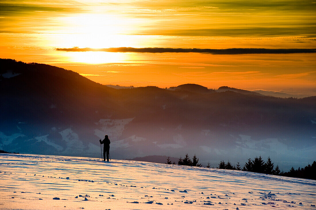 Cross-country skier in sunset, St Margen, Black Forest, Baden-Wurttemberg, Germany