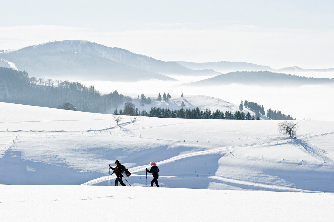 Two persons snowshoeing at mount Schauinsland, Freiburg im Breisgau, Black Forest, Baden-Würtemberg, Germany
