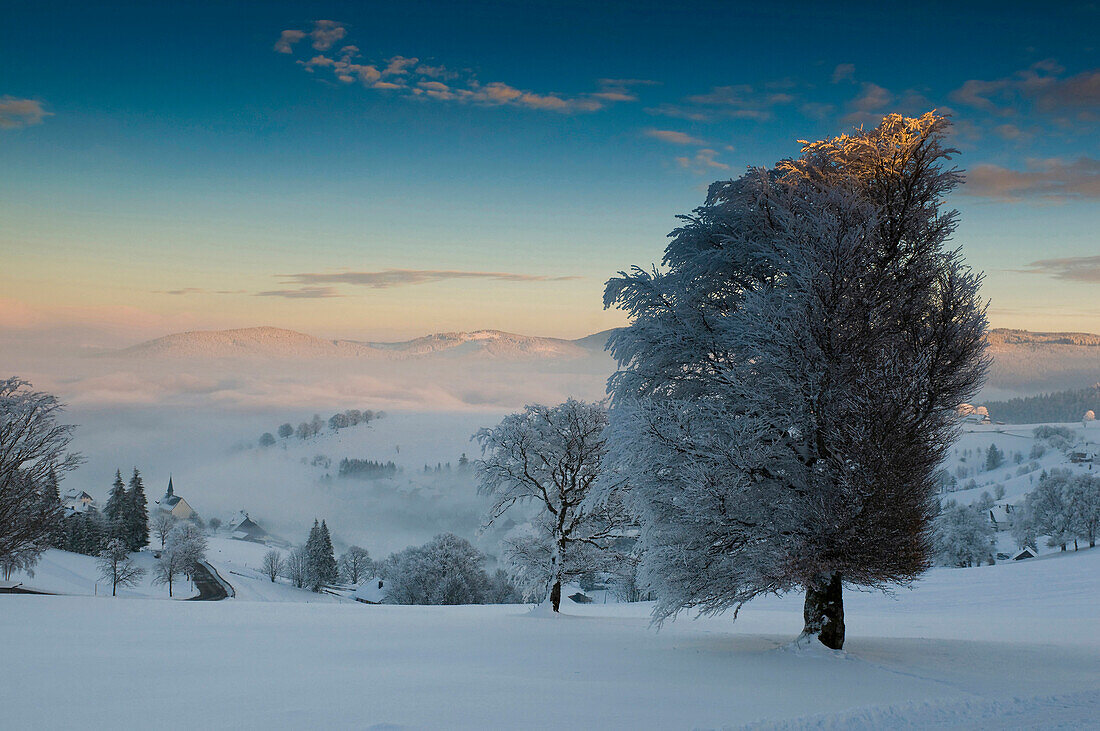 View over Hofsgrund in winter, mount Schauinsland, Freiburg im Breisgau, Black Forest, Baden-Wurttemberg, Germany