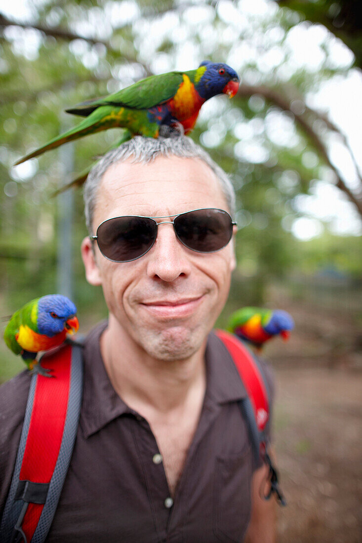 Tourist mit Rainbow Lorikeet Papageien, Horseshoe Bay, Nordküste Magnet Island, Great Barrier Reef Marine Park, UNESCO Weltkulturerbe, Queensland, Australien, Weltnaturerbe