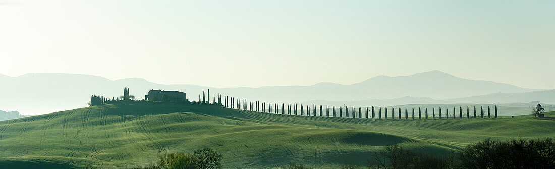 Panorama of a manor with an alley of cypresses, Val d´Orcia, UNESCO World Heritage Site Val d´Orcia, Tuscany, Italy