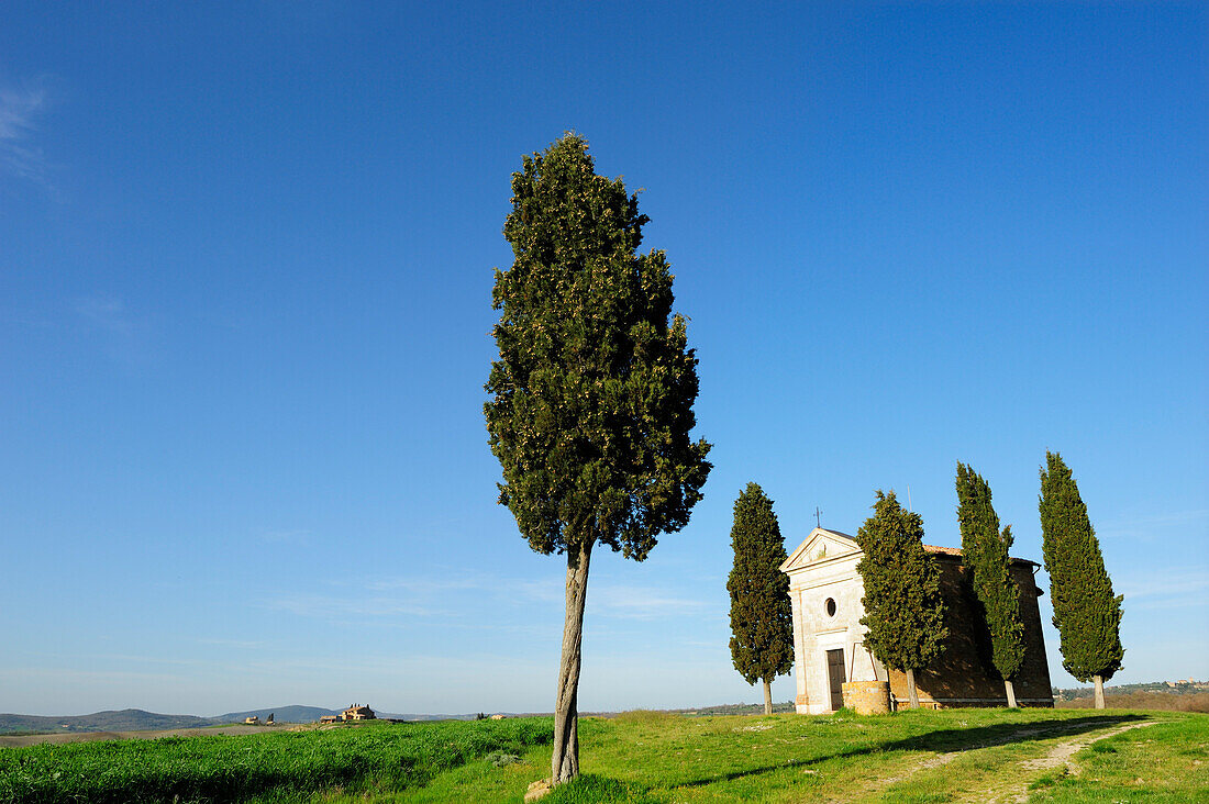 Kapelle mit Zypressen, Val d´Orcia, UNESCO Weltkulturerbe Val d´Orcia, Toskana, Italien