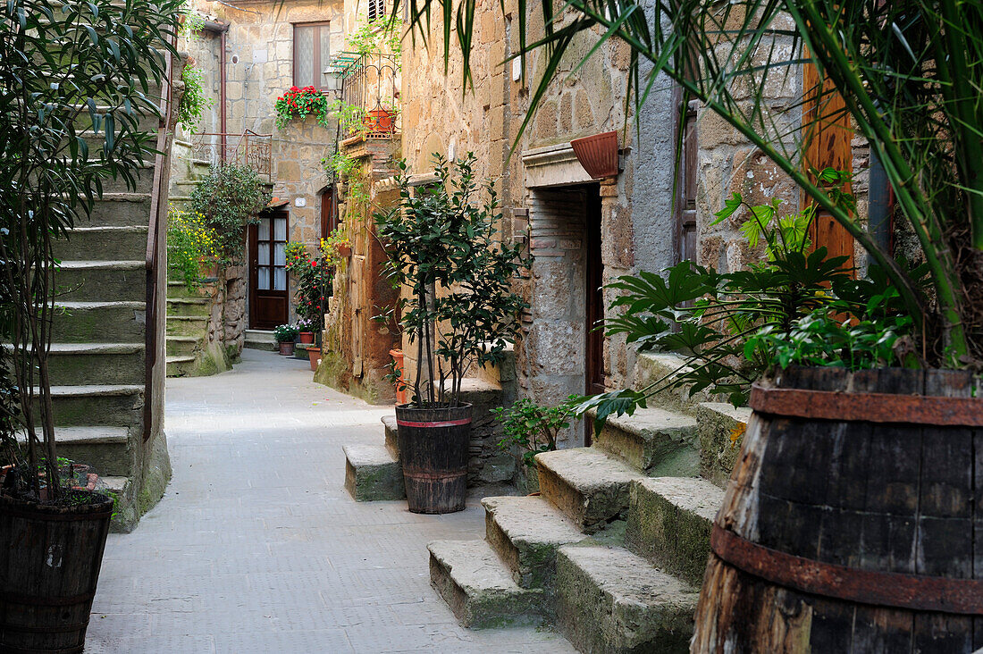 Hinterhof mit Treppenhäusern und Pflanzkübeln, Pitigliano, Toskana, Italien