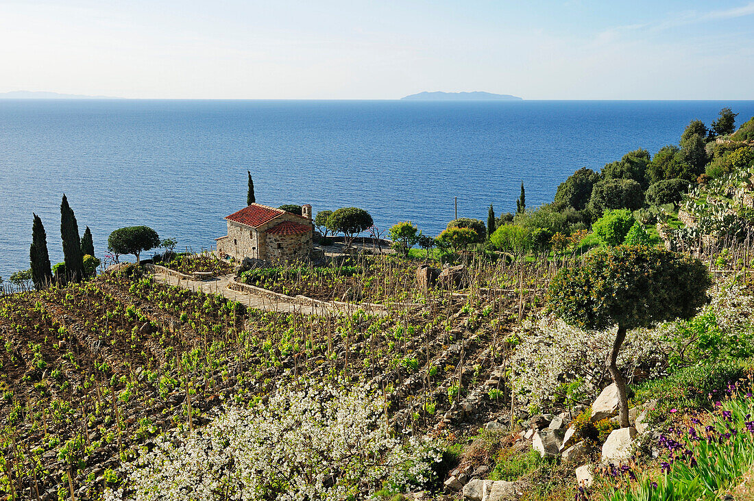 Manor at Mediterranean coast, Corsica in background, near Pomonte, Elba Island, Tuscany, Italy